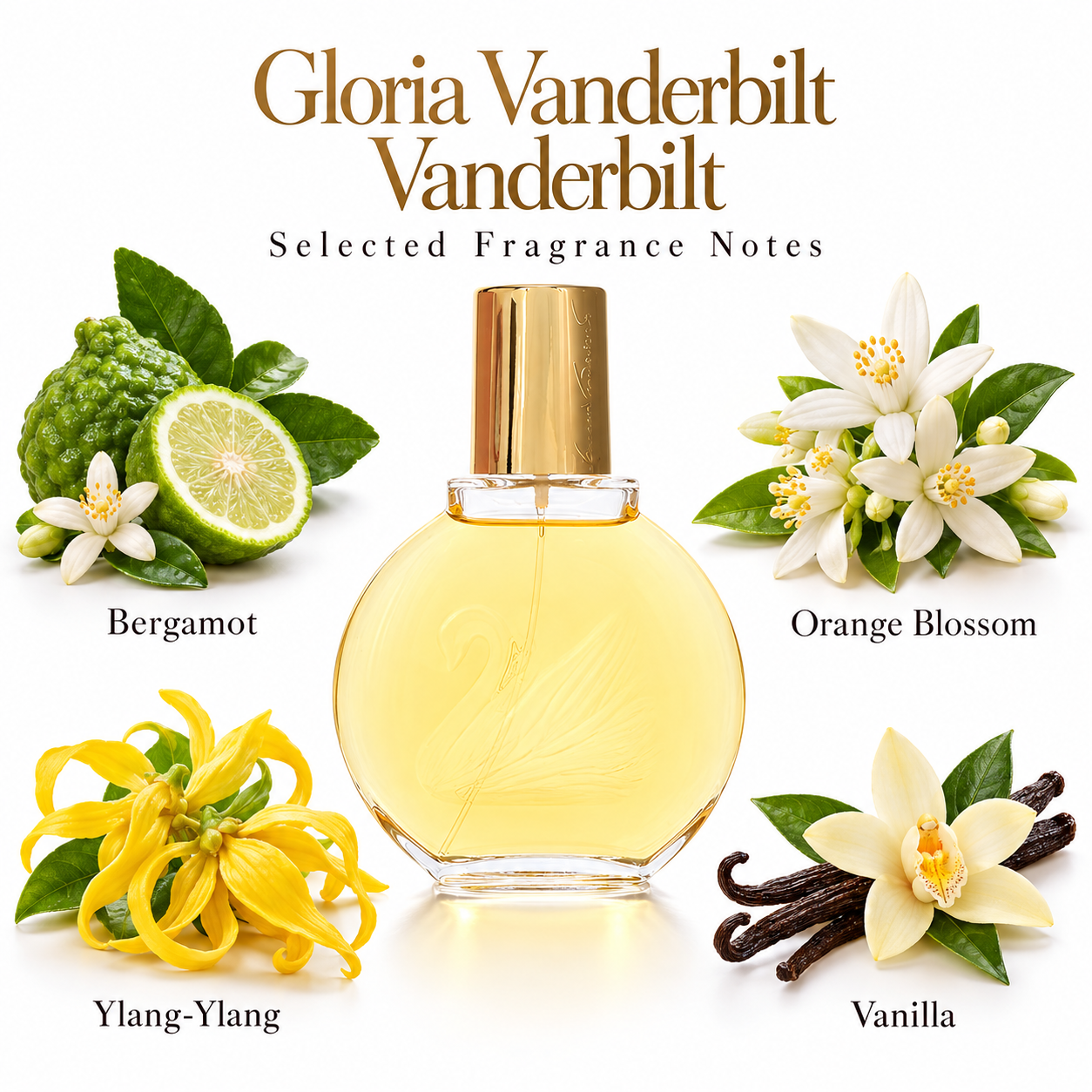 Gloria Vanderbilt Vanderbilt for Women 100 mL / 3.4 fl oz Eau de Toilette - fragrance notes