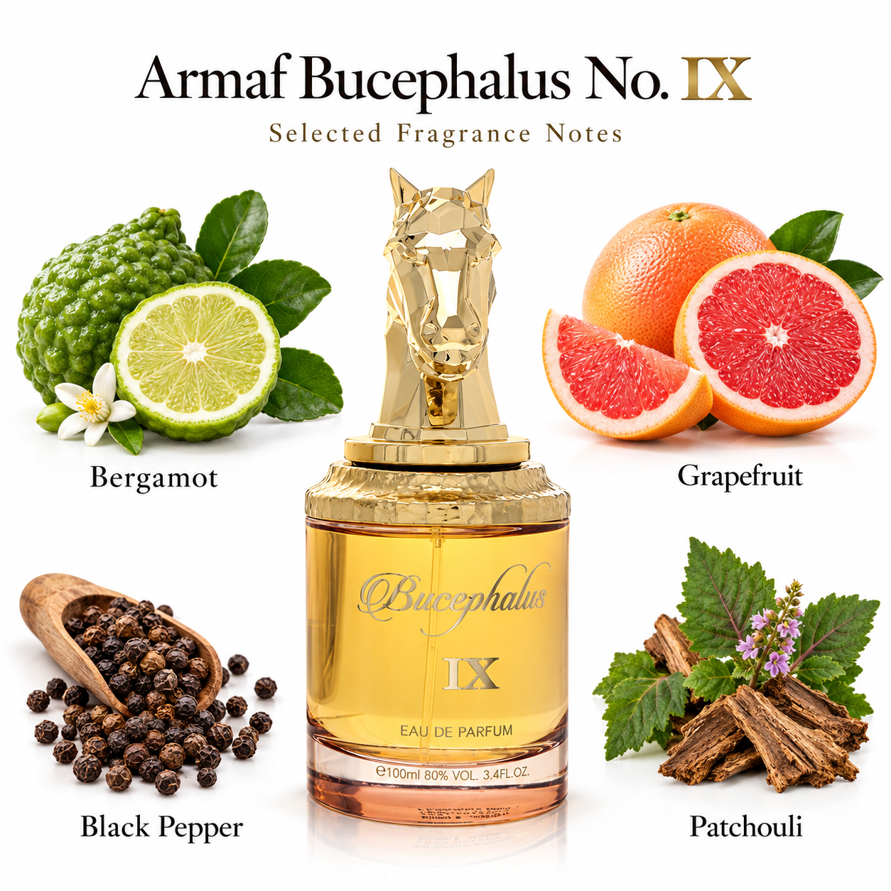 Armaf Bucephalus No. IX — fragrance notes