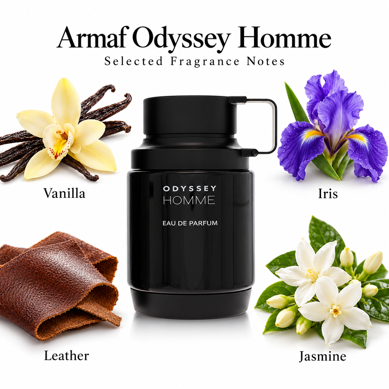 Armaf Odyssey Homme fragrance notes