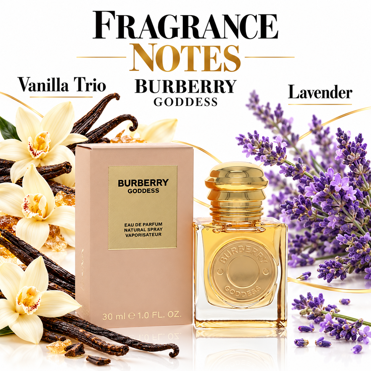 Burberry Goddess Eau de Parfum for Women 30 mL — fragrance notes
