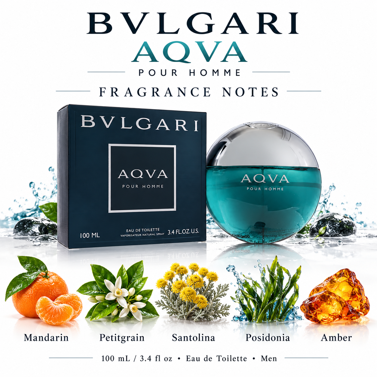 Bvlgari Aqva Pour Homme 100 mL Eau de Toilette for Men — fragrance notes
