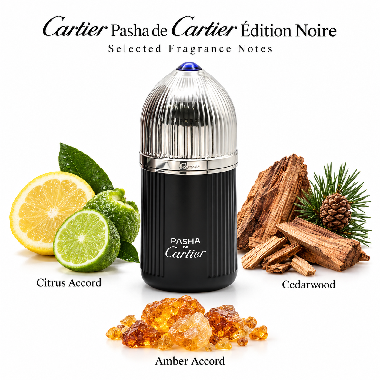 Cartier Pasha de Cartier Édition Noire — fragrance notes
