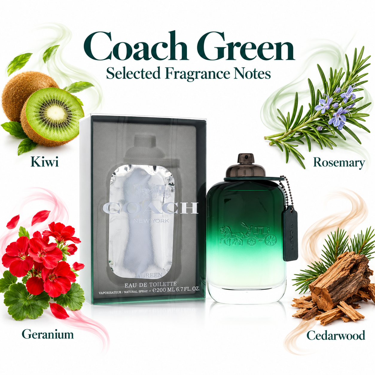 Coach Green 200 mL Eau de Toilette for men — selected fragrance notes