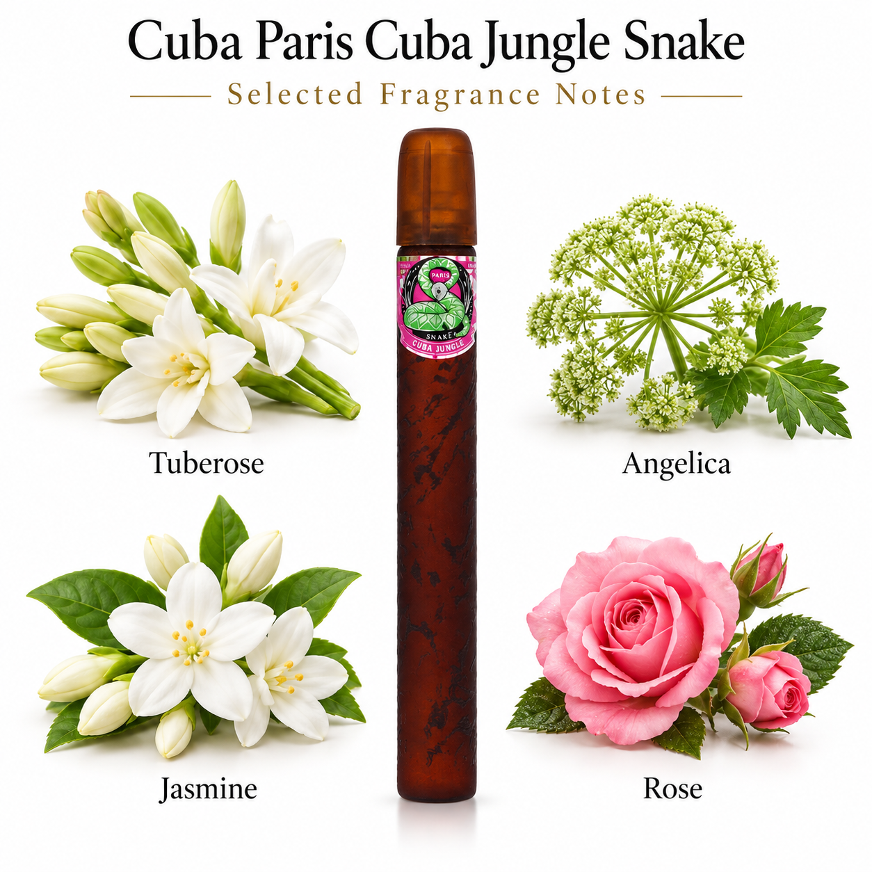Cuba Paris Cuba Jungle Snake 35 mL 1.17 fl oz Eau de Parfum Women – fragrance notes