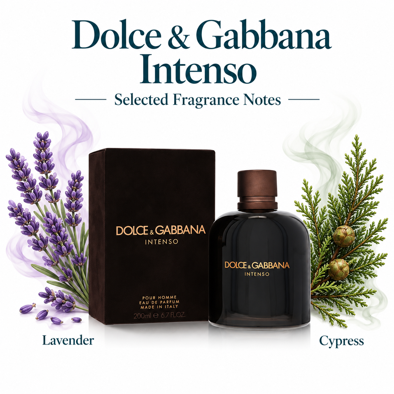 Dolce & Gabbana Intenso selected fragrance notes