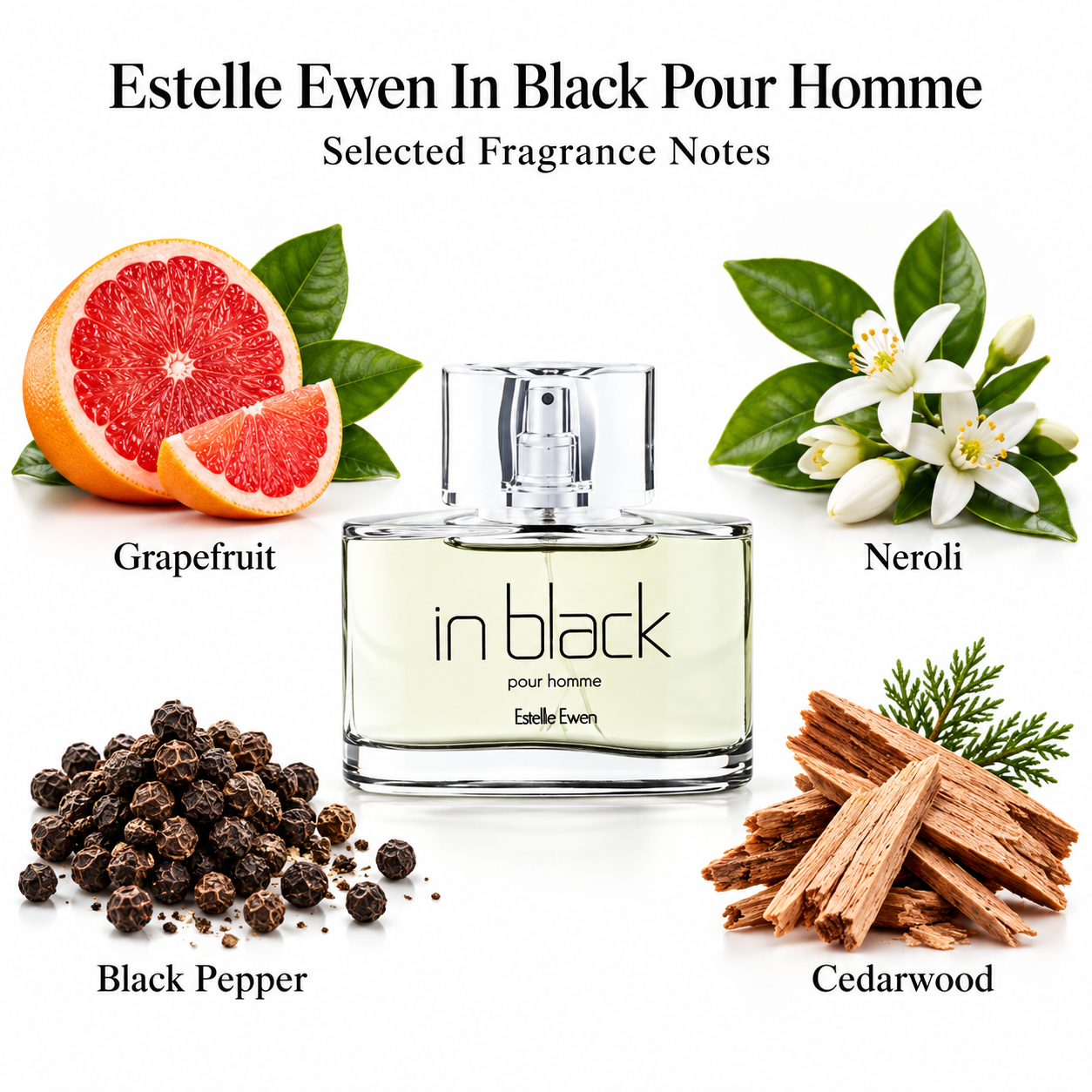 Estelle Ewen In Black Pour Homme — fragrance notes