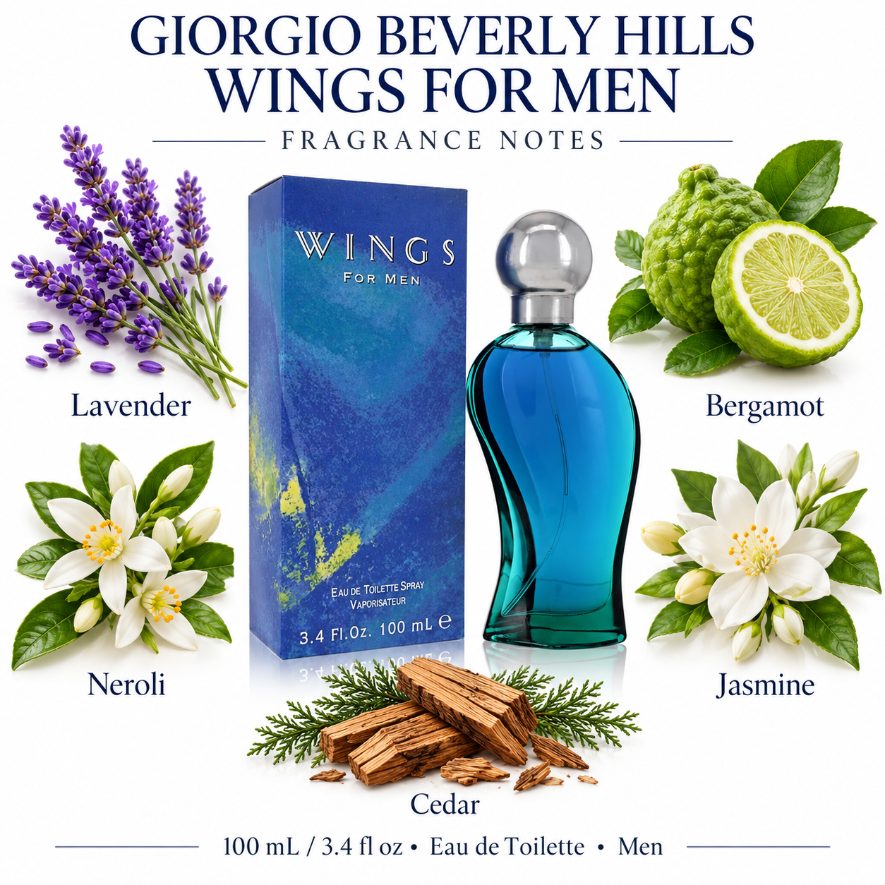 Wings by Giorgio Beverly Hills 3.4 oz Eau De Toilette Spray for Men — fragrance notes