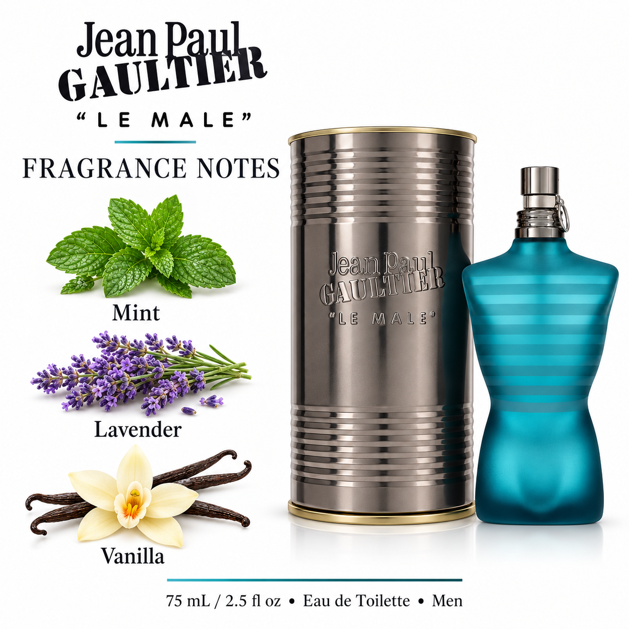 Le Male by Jean Paul Gaultier 2.5 Oz Eau De Toilette Spray for Men - Notes [Drive:1wkuegGlXX00E1qVWCTCM5CQgs0mSL-kL]