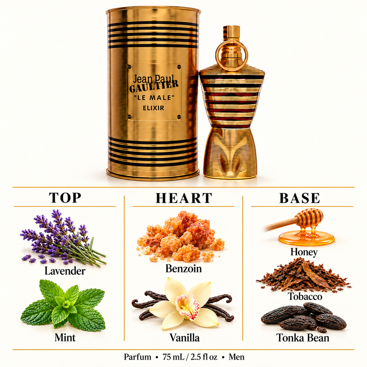 Le Male Elixir by Jean Paul Gaultier 2.5 Oz Parfum Spray for Men - Notes [Drive:14FuPOjCSfwYpOcufafIe2BZVmL4TAQsD]