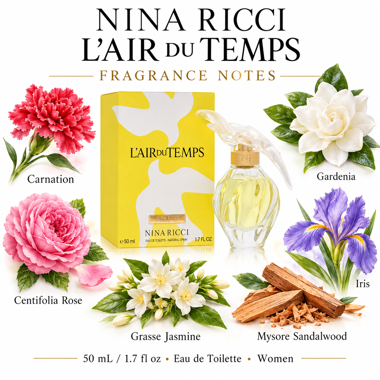 3137370207023 fragrance notes image