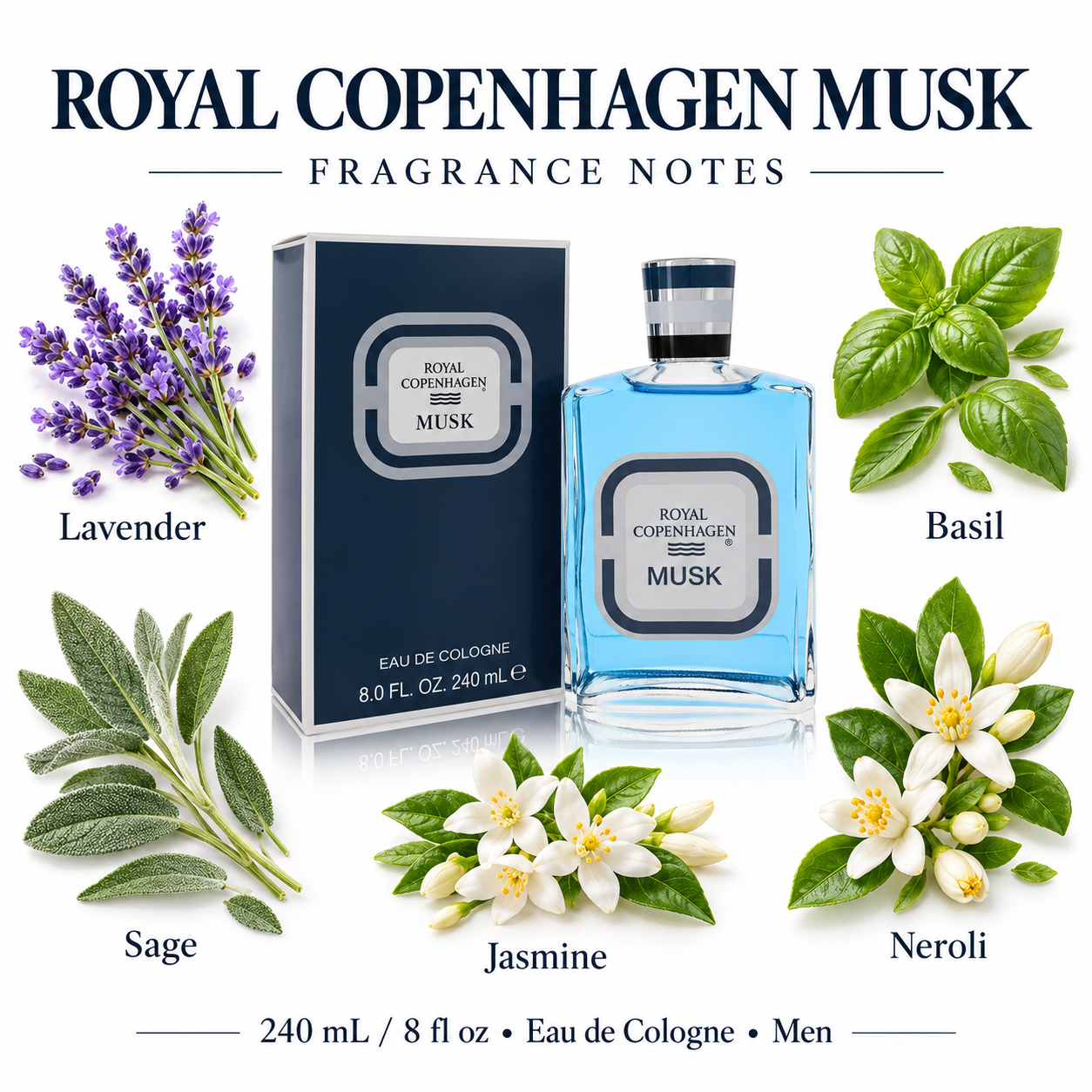 603531130057 fragrance notes image