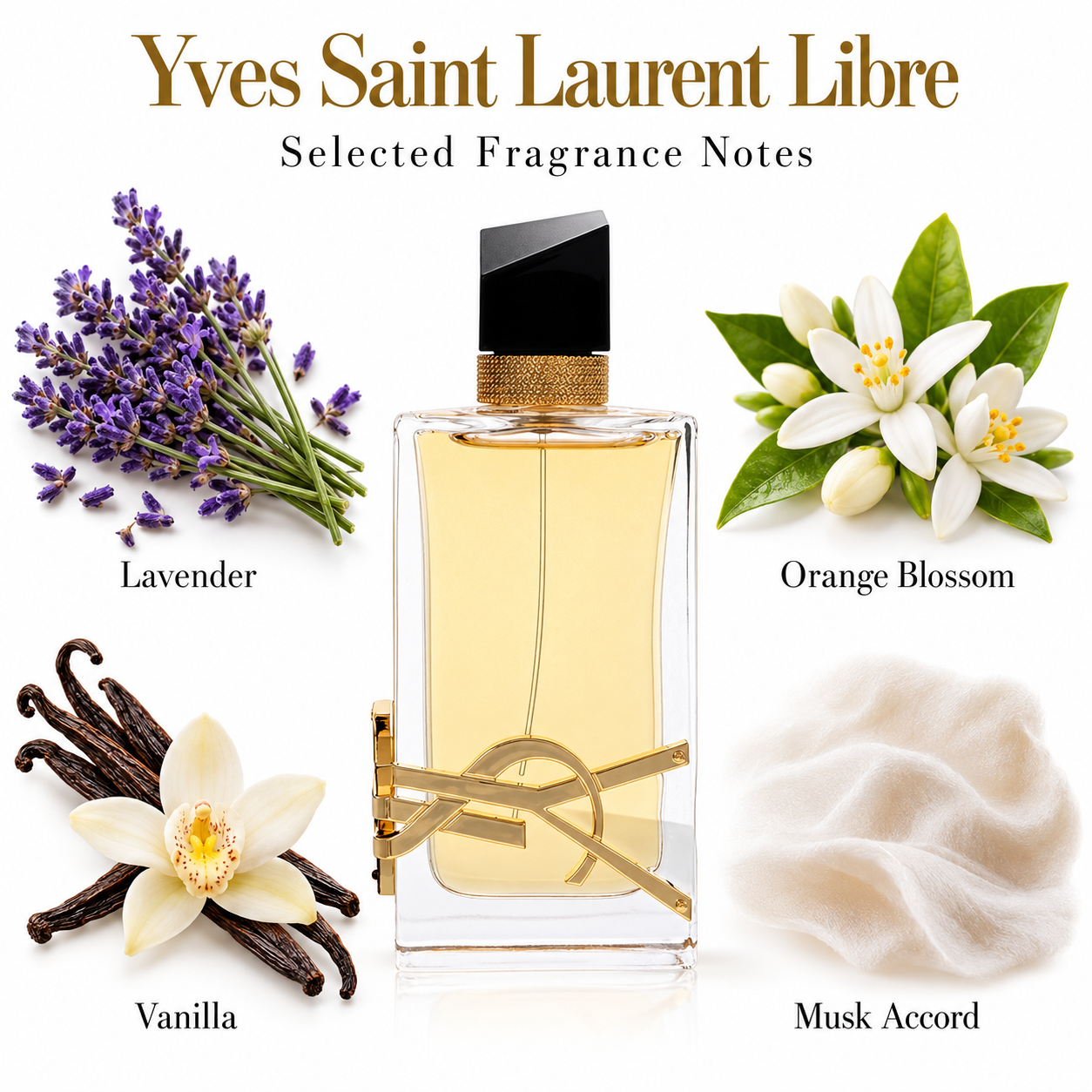 YSL Libre — fragrance notes