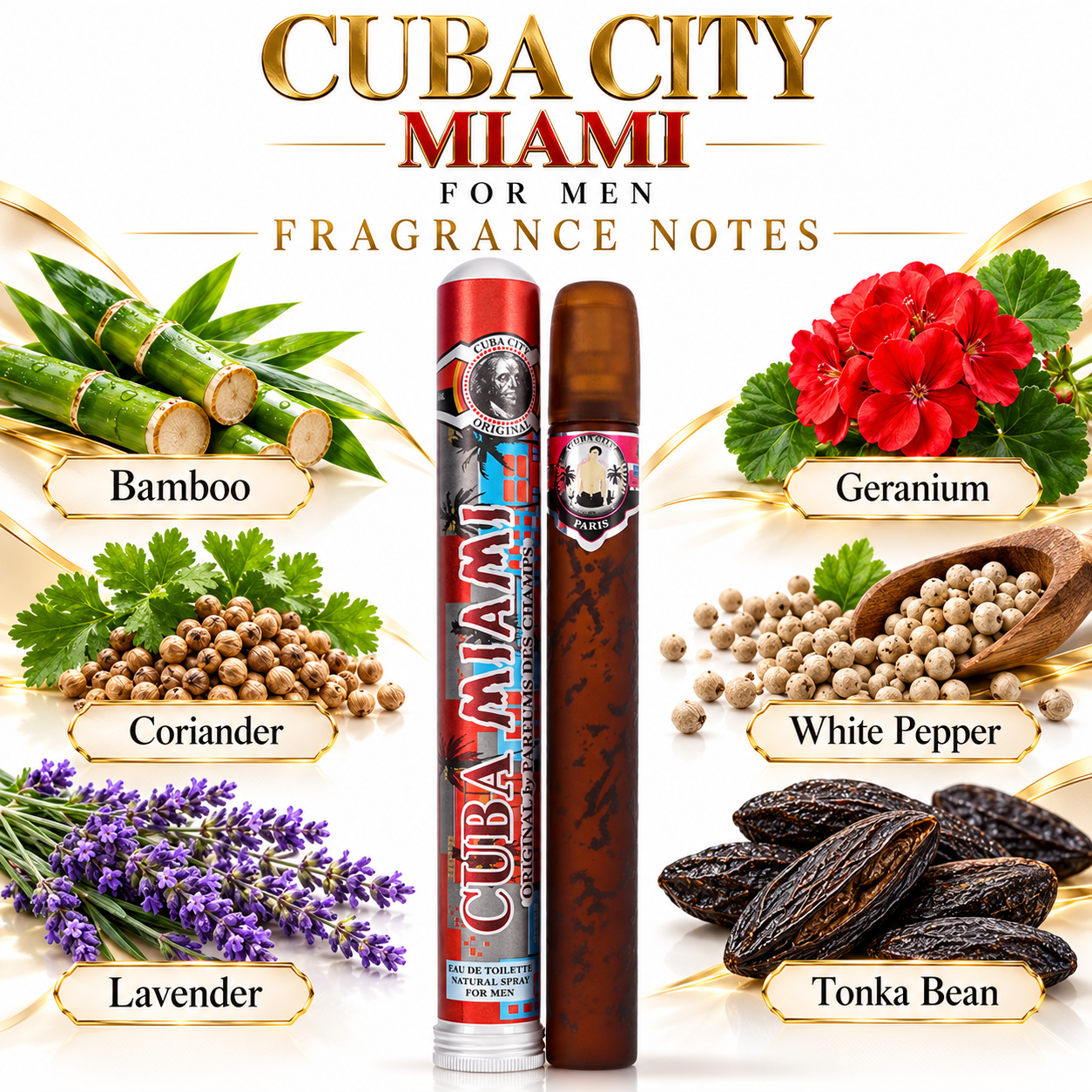 Cuba City Miami for Men — fragrance notes